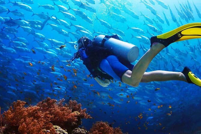 2 Fun Dives in Racha Yai or Noi for Certified Divers - What to bring and what to confirm