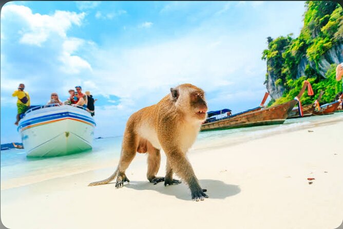 2x Snorkelling Phi Phi, Maiton, Maya Bay, khai islands tour - Maiton Island offers a second snorkeling focus