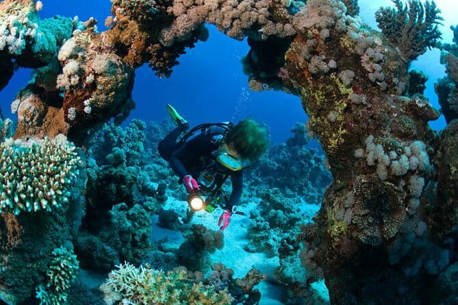 3 Fun dives in Phi Phi islands for Certified Divers - Key points at a glance