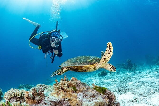 3 Fun dives in Phi Phi islands for Certified Divers - Three underwater sessions from Chalong Pier