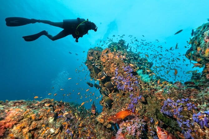 3 Fun dives in Phi Phi islands for Certified Divers - The third stop: Shark Point or Koh Doc Mai