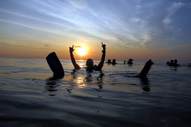 3 Fun dives in Phi Phi islands for Certified Divers - The cost: fair if you use the whole package