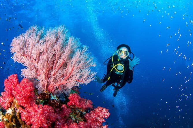 3 Fun dives in Phi Phi islands for Certified Divers - Weather, safety, and the flight rule