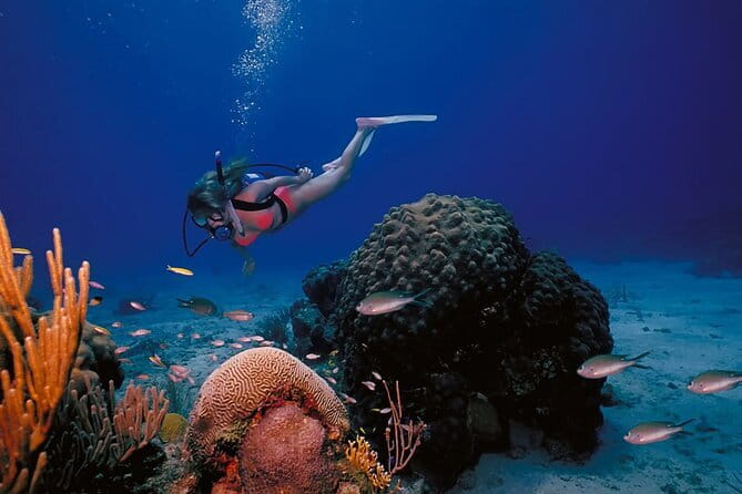 3 Fun Dives in Racha Yai and Racha Noi for Certified Divers - What the first session is likely to feel like