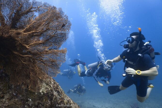 3 Fun Dives King Cruiser Wreck and Koh DokMai for Certified diver - A nine-hour day that starts at Chalong Pier
