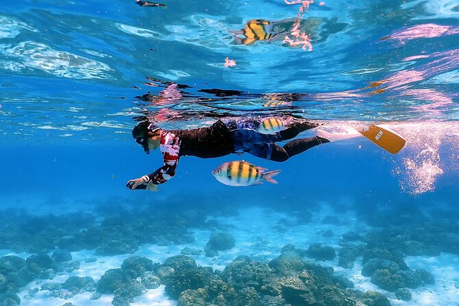 3-Island Speedboat Tour: Racha Noi, Racha Yai & Maiton - What the $110.68 price really covers
