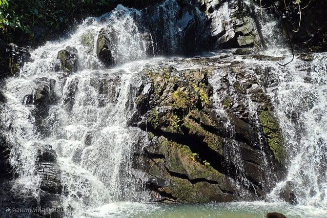 4 Element Day with Zipline Adventure Expedition - Air: Tarzan Adventure Phuket for two hours