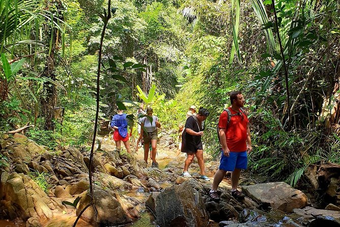 4-Waters Eco-Adventure Trip from Phuket Including Lunch - Thai lunch in Phang-Nga Province