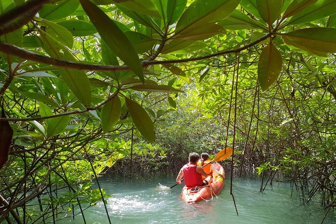 4-Waters Eco-Adventure Trip from Phuket Including Lunch - Sunset at Natai Beach