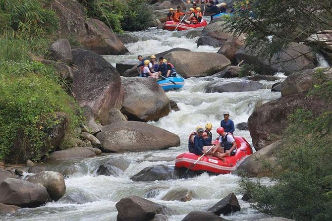 5 km White Water Rafting + ATV 1 Hour Tour From Phuket - Suwan Khuha Cave Temple and its monkeys