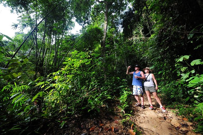 5km Rafting, ATV & Flying Fox Adventure Trip - Walking to the waterfall