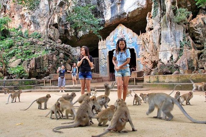 5km White Water Rafting and Jungle Tour From Phuket - Thai lunch, seasonal fruit, and the break between activities