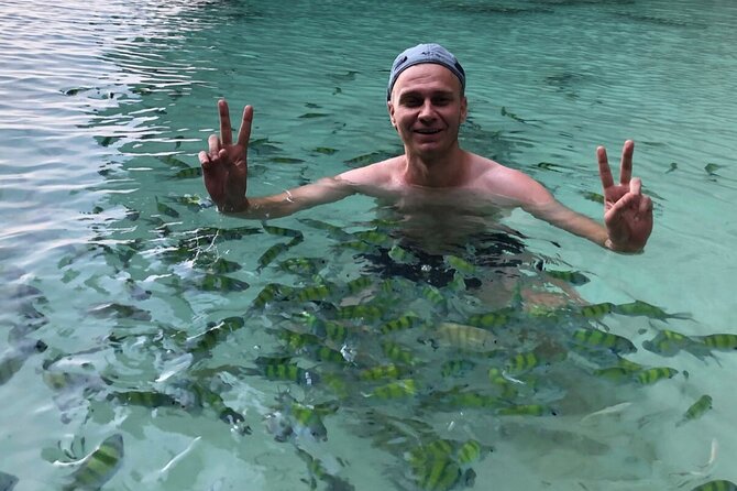 All-in Phi Phi, Maiton, MayaBay, Khai, Bamboo islands Tour - Khai Nai for sand, swimming and a break