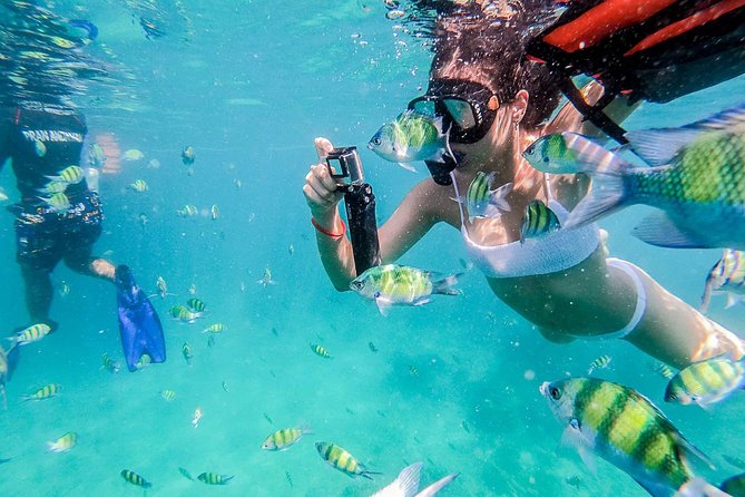 All-in Phi Phi, Maiton, MayaBay, Khai, Bamboo islands Tour - Monkey Beach and the first look at Phi Phi