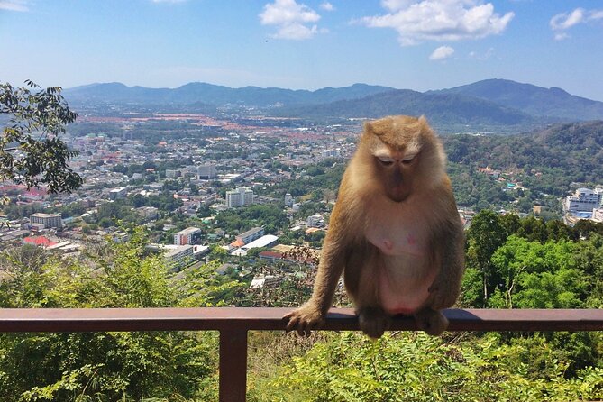 Amazing Phuket Sunset: Promthep Cape, Monkey Hill, Chillva Market - Promthep Cape gives the afternoon its reason