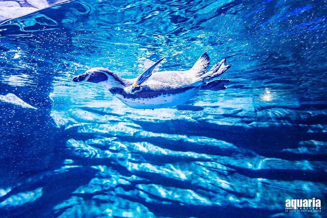 Aquarium Phuket and AR Trick Eye Museum Combo Tickets - Aquaria Phuket beneath Central Phuket Floresta