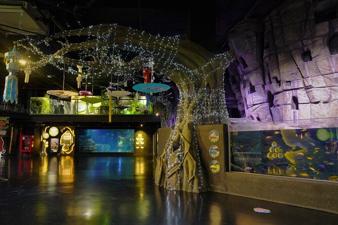 Aquarium Phuket and AR Trick Eye Museum Combo Tickets - Why the feeding session can shape your visit