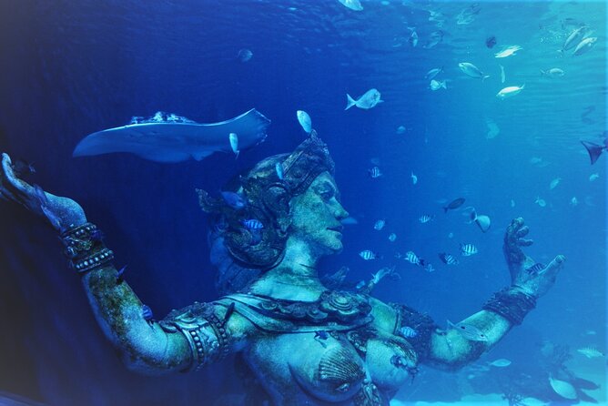 Aquarium Phuket and AR Trick Eye Museum Combo Tickets - When to visit and how to plan the stop
