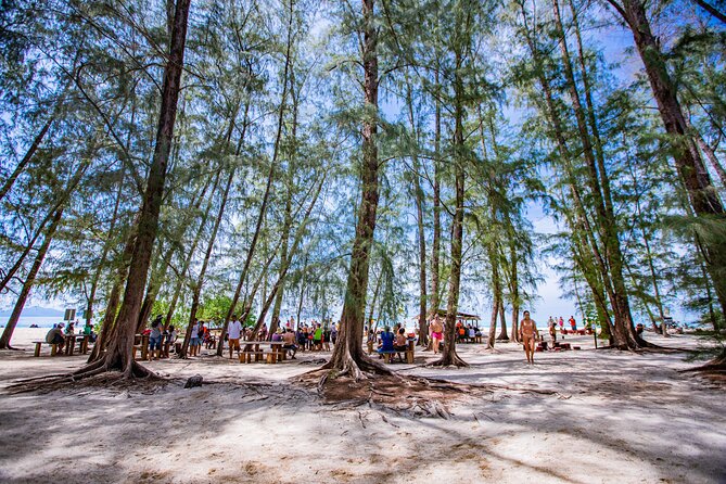Bamboo Island and Phi Phi Island Full Day Tour From Phuket - Two hours on Phi Phi Don, including lunch