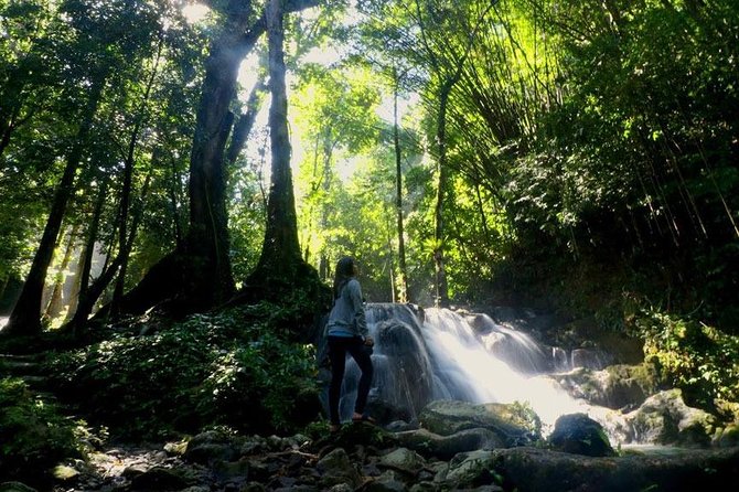 Bamboo Rafting and Jungle Tour From Phuket - A short jungle walk to the waterfall