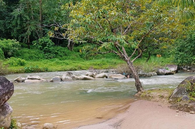 Bamboo Rafting, ATV Riding and Jungle Tour From Phuket - Thai lunch, fruit, and simple comforts