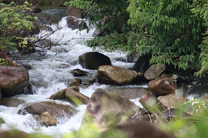 Bamboo Rafting, ATV Riding and Zip Line Tour From Phuket - The long pickup window and small-group setup