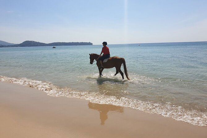 Beach Horse Riding Activity in Phuket - Group size, guide attention, and the pace of the ride