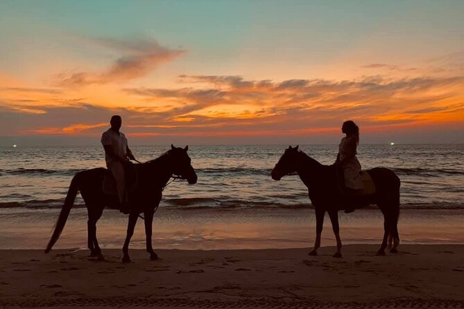 Beach Horse Riding At Sunset In Phuket - Horse care is an important consideration