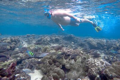 Best of Phi Phi Islands Snorkeling Tour from Phuket
