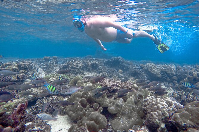 Best of Phi Phi Islands Snorkeling Tour from Phuket - Royal Phuket Marina and the speedboat ride