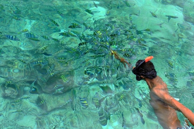 Blu Anda Catamaran to Phi Phi from Phuket - A scenic cruise past Camel Rock and Nui Bay