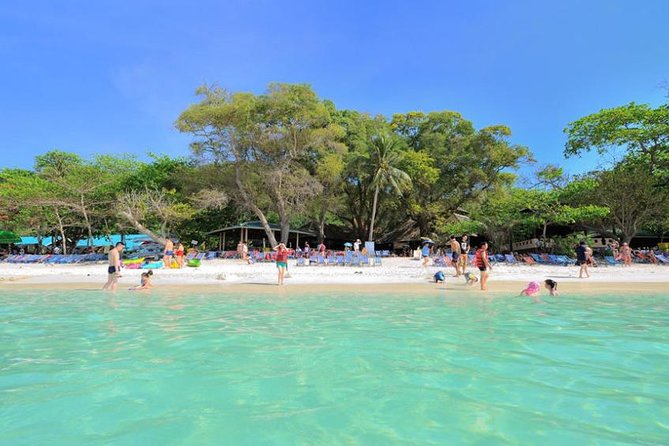 Coral Island & Racha Island Speedboat Excursion - The guide and group size
