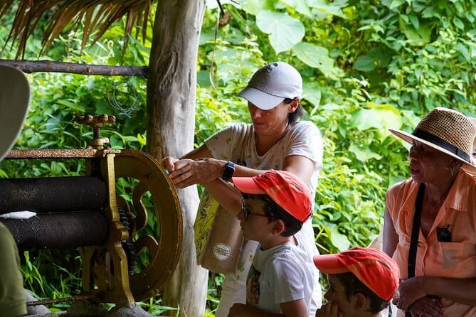 Elephant Nature Experience with Lunch at Bukit Elephant Park - A calmer elephant experience near Chalong