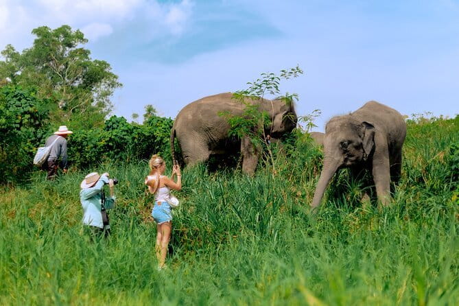 Elephant Nature Experience with Lunch at Bukit Elephant Park - Pickup, meeting point, and rainy-season details