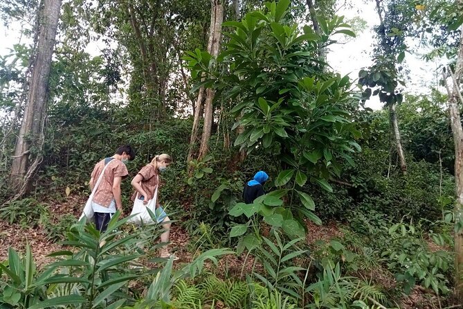 Elephant Sanctuary Small Group Tour in Phuket - Key points before you book