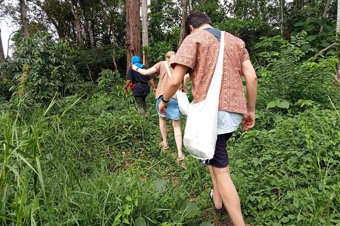 Elephant Sanctuary Small Group Tour in Phuket - Walking the forest trails with the elephants