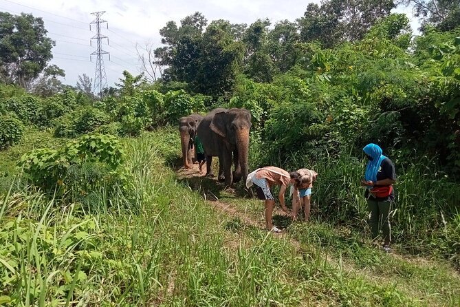 Elephant Sanctuary Small Group Tour in Phuket - Making herbal food and banana snacks