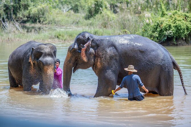 Elephant Sanctuary Small Group Tour in Phuket - Lunch, refreshments, and the value of four hours