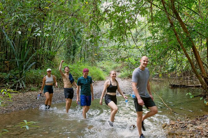 Explore Khao Sok: Jungle Safari in Thailand’s Pristine Rainforest - Lunch at a jungle lodge