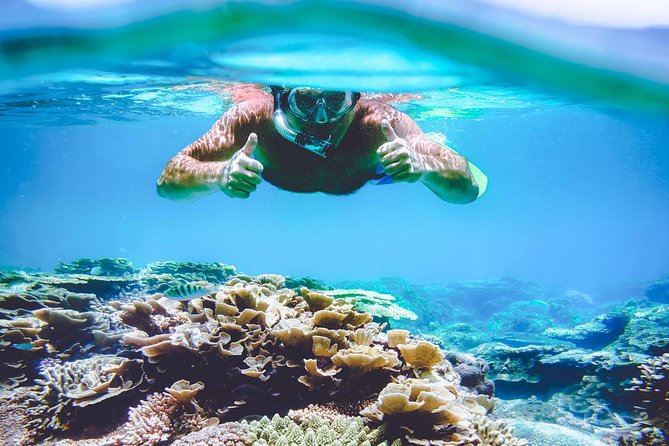 Explore Surin Islands: Ultimate Snorkeling Day Trip from Phuket - From Phuket to the Surin Islands