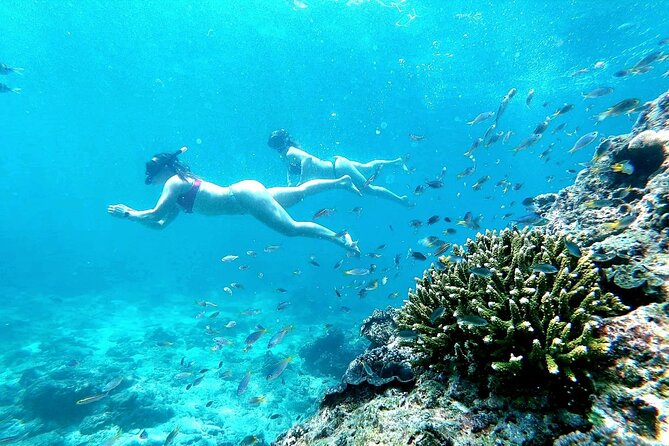 From Phuket: Phi Phi, Maya and Bamboo Islands Full Day Visit - Pileh Cove, Viking Cave, and Monkey Beach