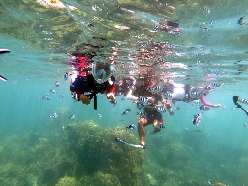 From Phuket: Phi Phi, Maya Bay, & Khai Islands Premium Trip - Swimming and snorkelling at Pileh Lagoon