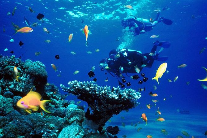 Full-Day Beginner Scuba Course with Private Tuition, Racha Yai - Why Racha Yai works for a first scuba experience