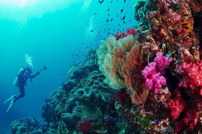 Full-Day Beginner Scuba Course with Private Tuition, Racha Yai - The second session at Racha Yai