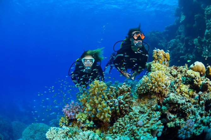 Full-Day Beginner Scuba Course with Private Tuition, Racha Yai - How private is private?