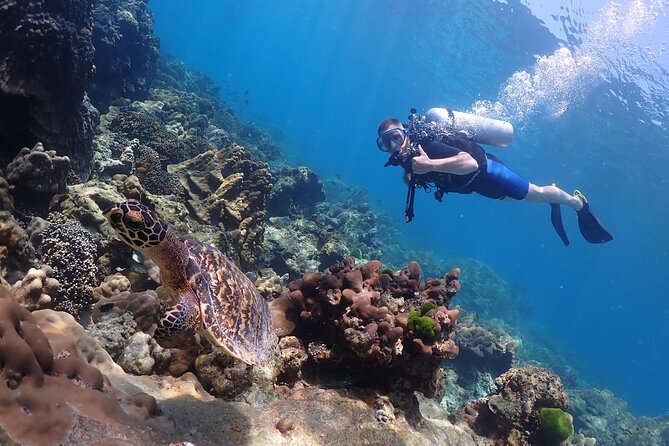 Full-Day Koh Phi Phi Scuba Diving Course from Phuket - Who should choose this Phuket outing