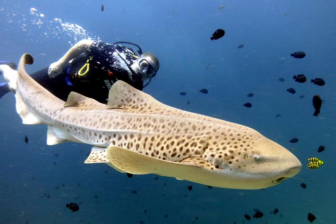 Full-Day Koh Phi Phi Scuba Diving Course from Phuket - The boat ride to Ko Bida Nok