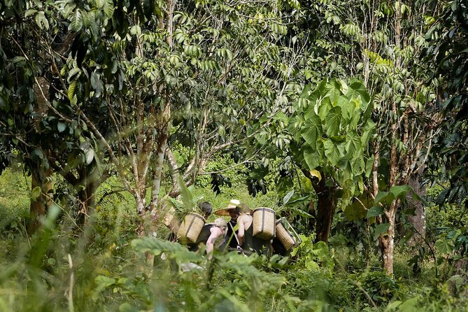Full-Day Phuket Elephant Sanctuary Tour with Lunch and Dinner - Vegetarian Thai lunch and a slower middle of the day