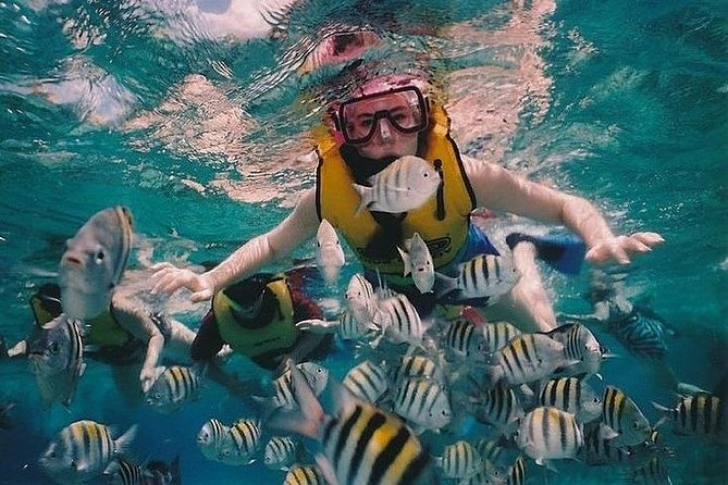 Full-Day Racha Noi and Racha Yai Snorkeling from Phuket - The scuba setup and what it means for snorkelers