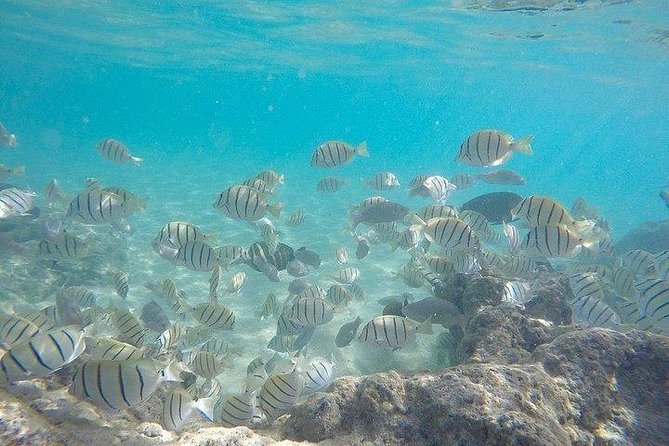 Full-Day Racha Noi and Racha Yai Snorkeling from Phuket - Food, equipment, and comfort aboard